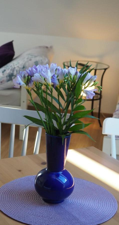 U Vaclava Apartment Knezeves  Luaran gambar