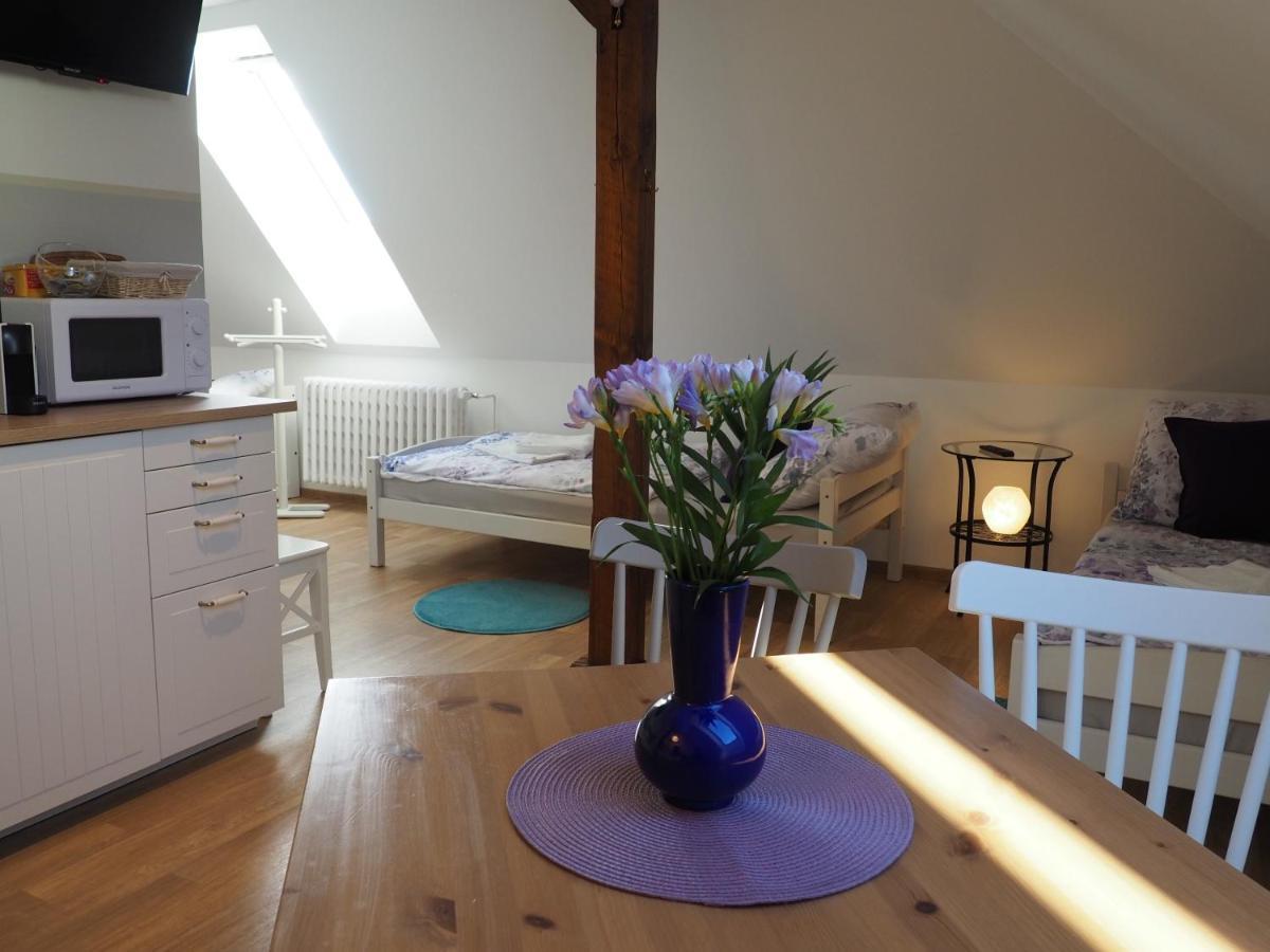 U Vaclava Apartment Knezeves  Luaran gambar