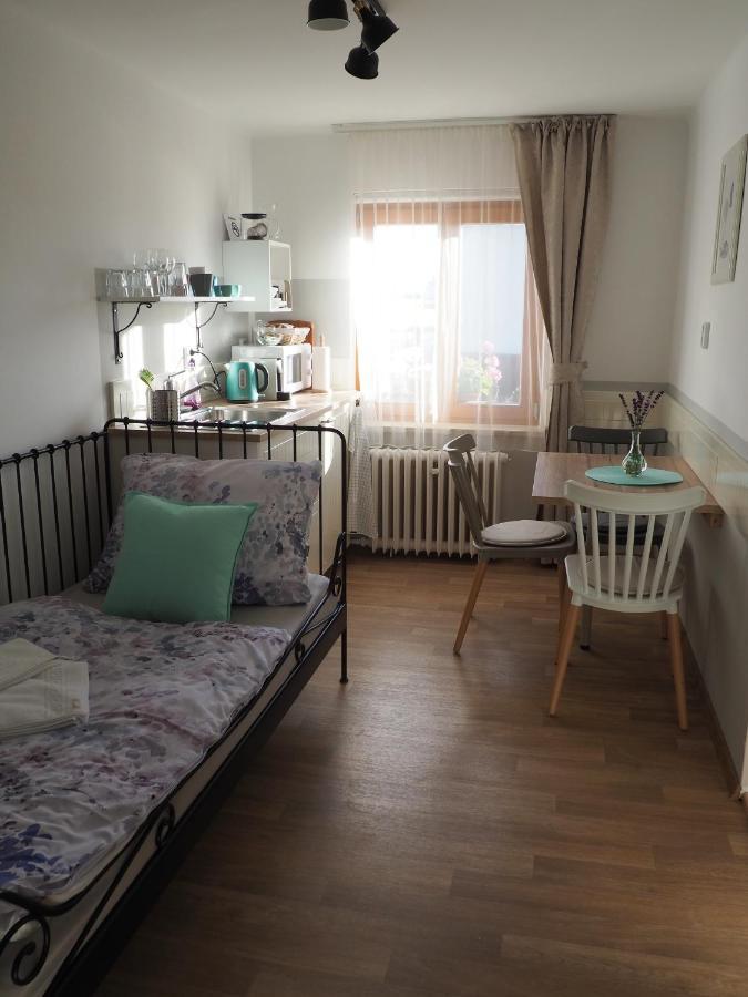 U Vaclava Apartment Knezeves  Luaran gambar
