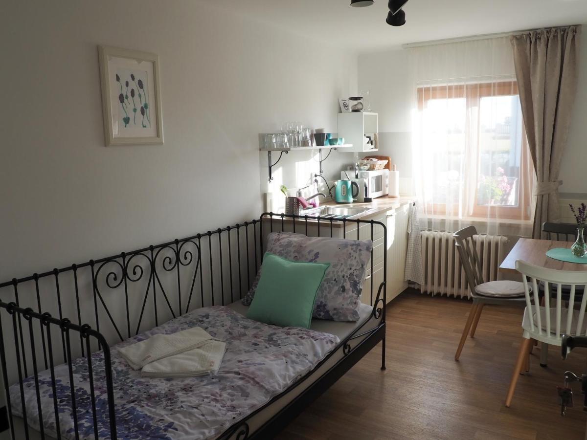 U Vaclava Apartment Knezeves  Luaran gambar