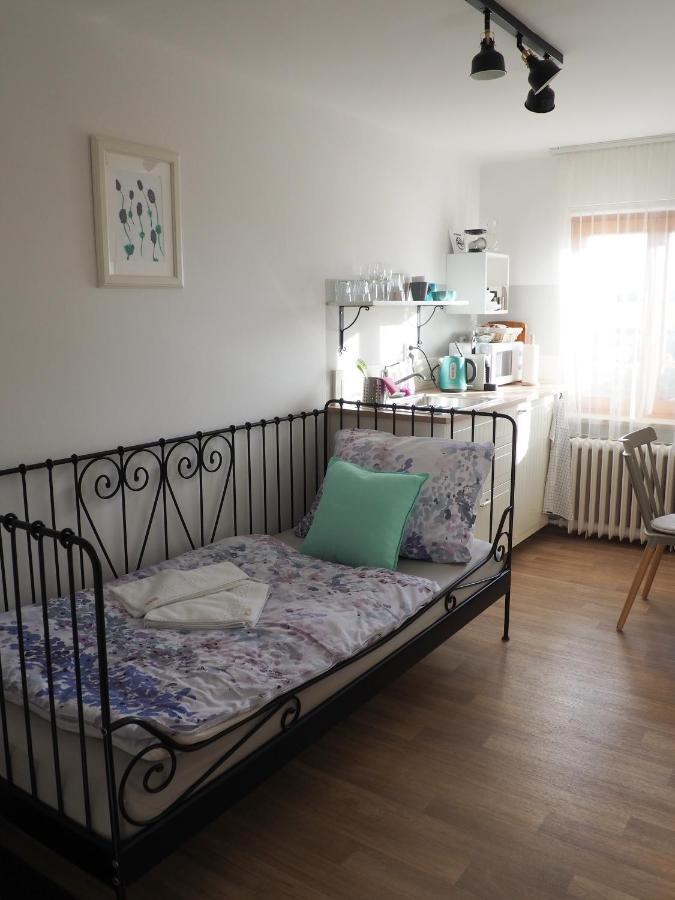 U Vaclava Apartment Knezeves  Luaran gambar