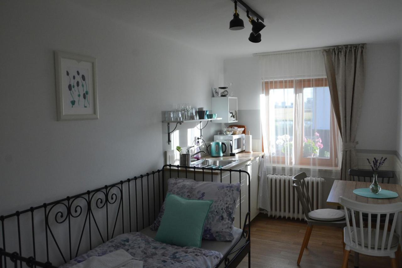 U Vaclava Apartment Knezeves  Luaran gambar